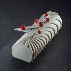 Stampo per bûche in silicone "Cometa