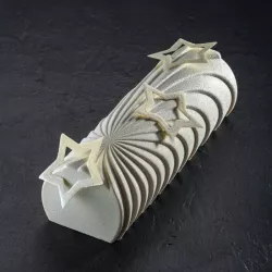 Silicone Mould log "Comet"