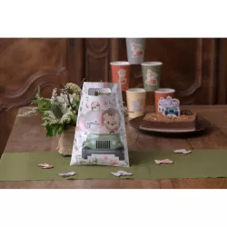 10 sacchetti da ricercatore per feste