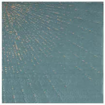 10 Eucalyptus bubble napkins