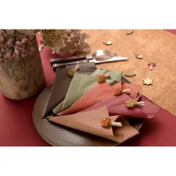 25 Chocolate napkins