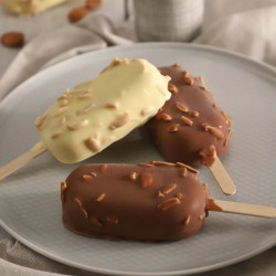 Moule à glaces "Classic"