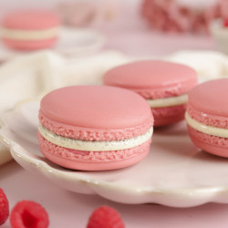 Stampo per macaron 110 in silicone - Silikomart