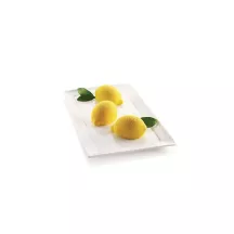 Lemon mold