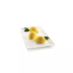 Lemon mold