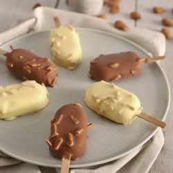Moule à glaces "Mini classic"