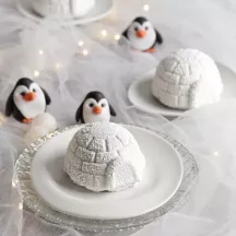 Igloo - Silicone mould