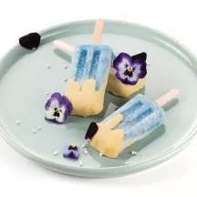 Moule à glaces "Mini vintage"
