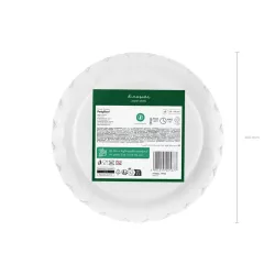 6 Small paper plates dinosaur