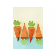6 Carrot Boxes