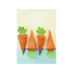 6 Carrot Boxes
