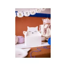 6 Kuchenschachteln Katze