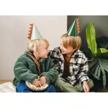 6 Partyhüte Dinosaurier