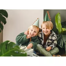 6 Partyhüte Dinosaurier