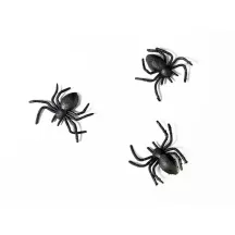 10 schwarze Plastikspinnen