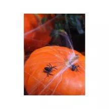 10 schwarze Plastikspinnen