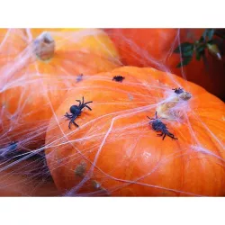 10 araignées noires en plastique