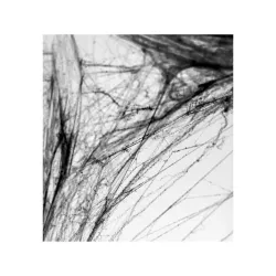 Spinnennetz - schwarz