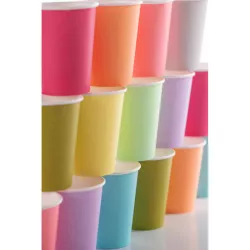10 Kiwi paper cups