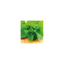 Green Mint Liquid Aroma