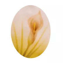 Airbrush stencil Callas lilies