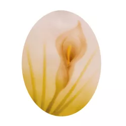 Airbrush stencil Callas lilies