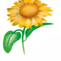 Airbrush-Schablone Sonnenblume