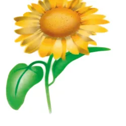 Stencil Airbrush Girasole