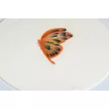 Butterfly airbrush stencil