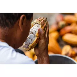 Choba Choba Couverture de lait Pasiona 41%, 2 kg