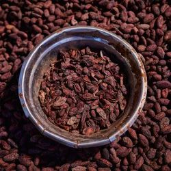 Choba Choba Oswaldo couverture 71%, 2 kg