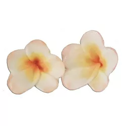 Set di stampi Frangipani con Stampino in silicone e Tagliabiscotti – 1140 3 mm