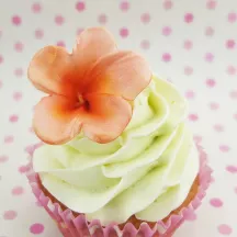 Set di stampi Frangipani con Stampino in silicone e Tagliabiscotti – 1140 3 mm