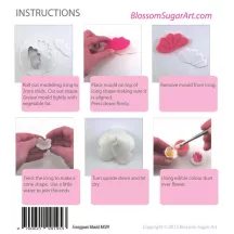 Set di stampi Frangipani con Stampino in silicone e Tagliabiscotti – 1140 3 mm
