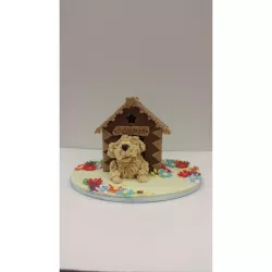 Set tagliapasta casa, 4 forme