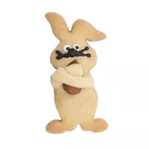 Cookie cutter almond bunny
