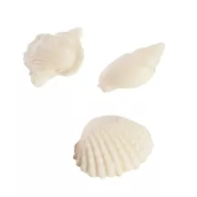 Silikonpräger für 3 Muscheln