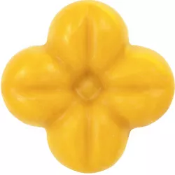 Power Flower Colorante alimentare naturale per giallo cioccolato