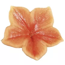 Set d'emporte-pièces et de gaufrage Fleurs de pétunia