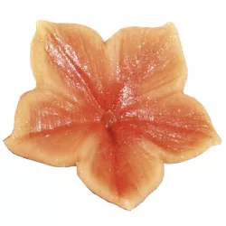 Petunia flower embossing and cutting set