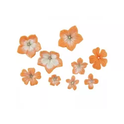 Set Stampino e Tagliabiscotti fiori di petunia