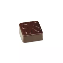 Square praline mold with leaf, 18 pralines