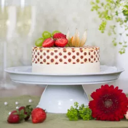 Silicone stencil dots for roulade, 30 x 20 cm