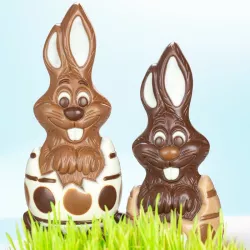 Moule à chocolat Lapin dans l'œuf en polycarbonate