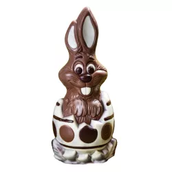 Chocolate mold bunny in an egg made of polycarbonate