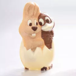 Polycarbonate chocolate mold bunny & duck
