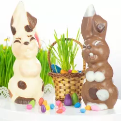 Stampo per cioccolato coniglio sorridente