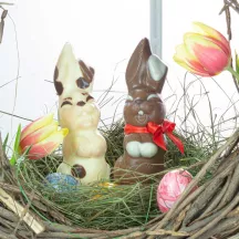 Chocolate mold laughing bunny