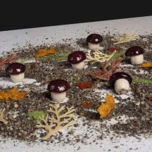 Moule en silicone Champignon