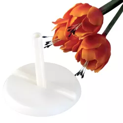 Tulip holder set, 5-piece